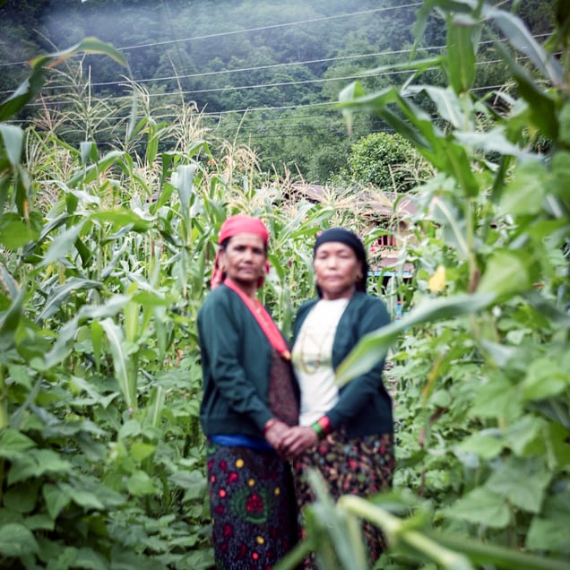Tilmaya Thapa (left), 60, from Thulobesi, and Lokmaya Gurung, 59, from Naiche, have been mitinis for over half a century. They share their sorrows and joys, becoming vital pillars for each other's mental well-being.