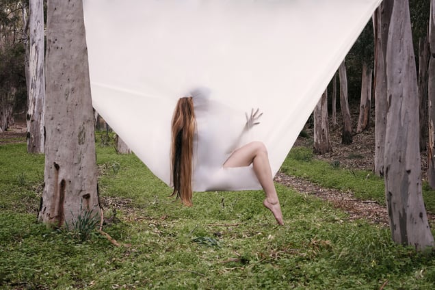 Chrysalis no. 2