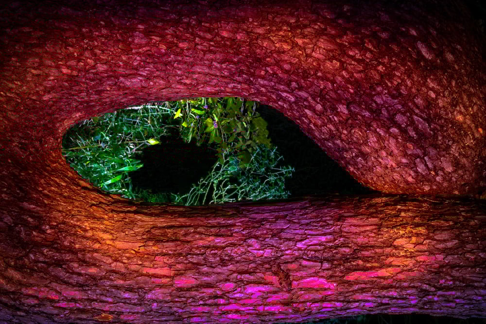 [full]   "What Have You Done To The Earth?"