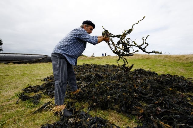 © PhotoReporter Festival