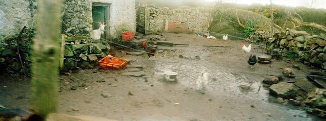 Farmyard Knowing It, Donegal. From the exhibition "Landscapes" © Tom Wood