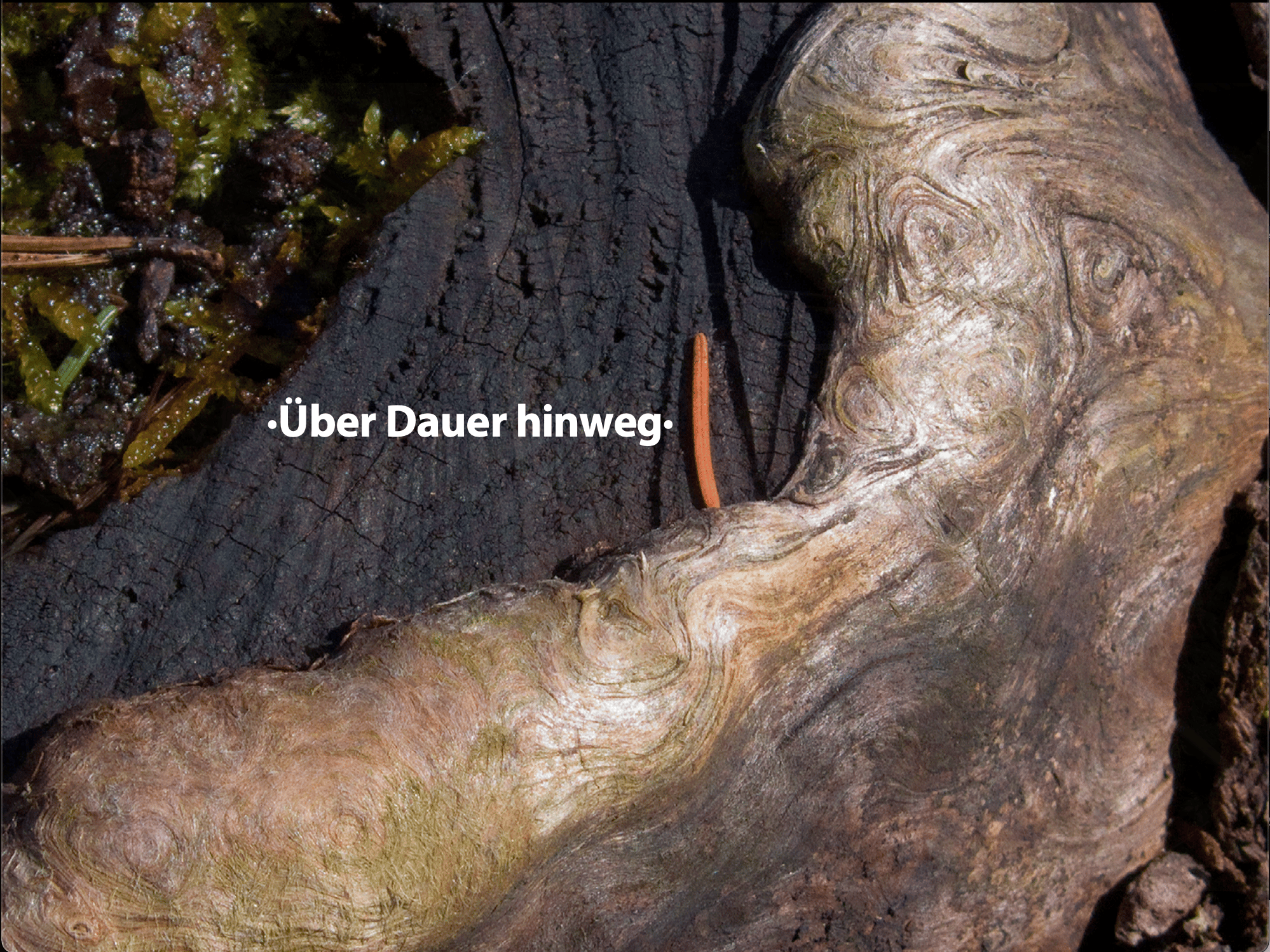 ·Über Dauer hinweg·
