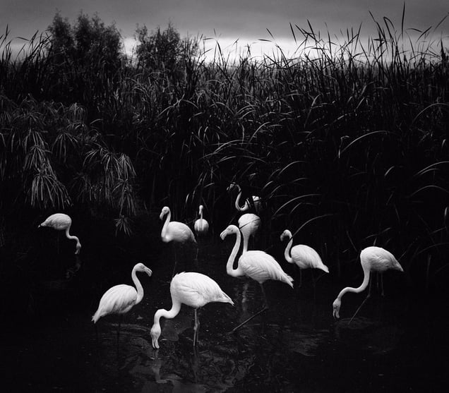 Mt. Ejo, Namibia, 2005. Showing at The Photographer's Gallery. Courtesy of Photo London.