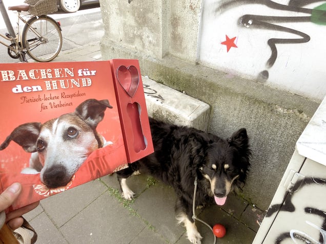 "HAPPY HOWLING HOUND DOGS" or "BAKING COOL COSMIC COOKIE MONSTER  COOKIES"