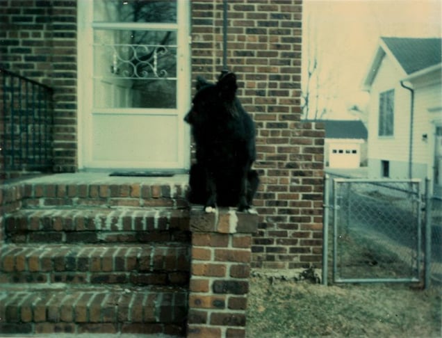 © KesselsKramer Publishing, from In Almost Every Picture #9