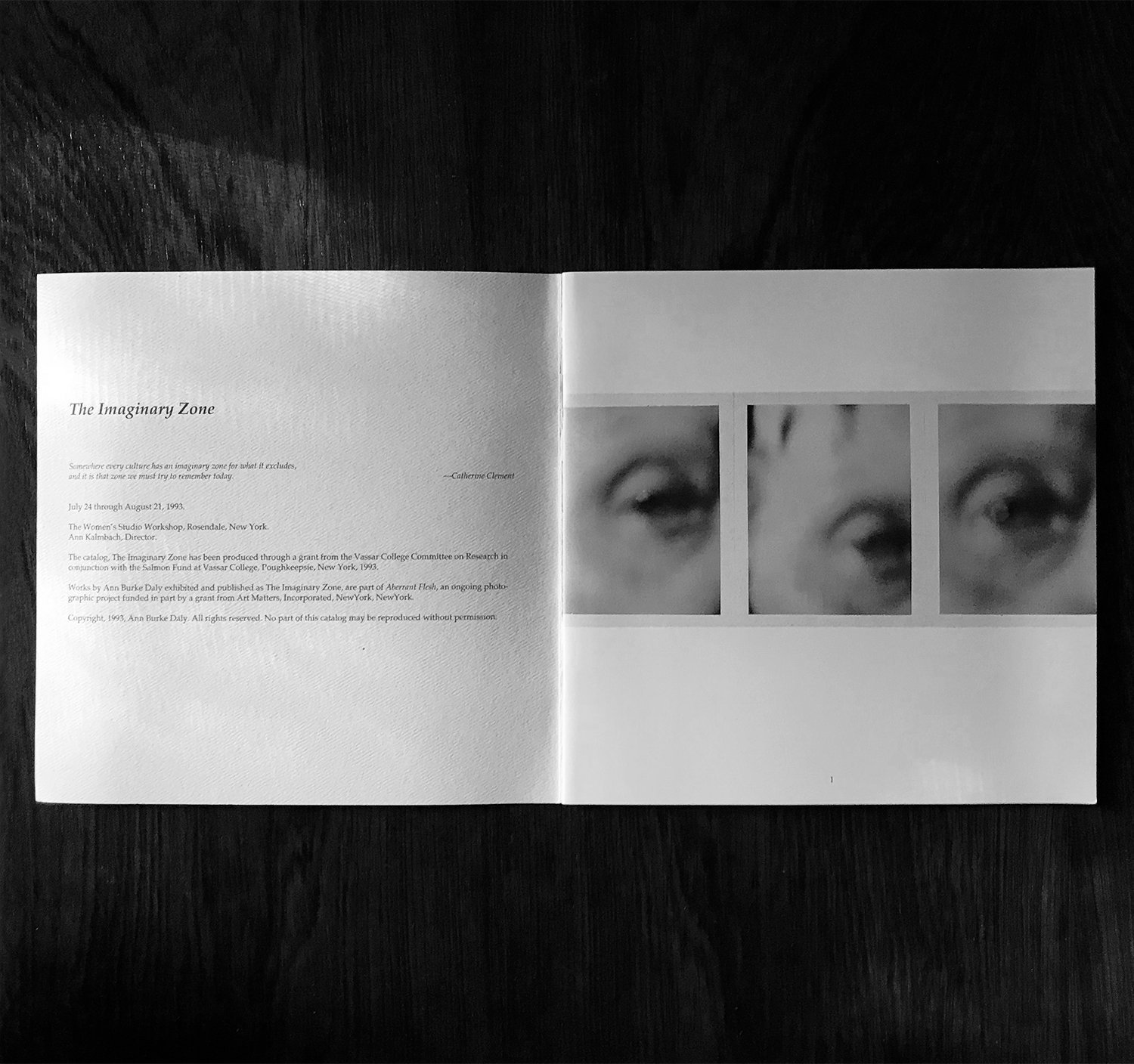 The Imaginary Zone: Ann Burke Daly, 1993