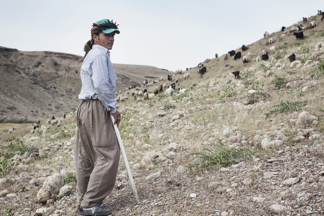 Faisal and the herd on the mountains around Awbar in the morning. 28/04/15.