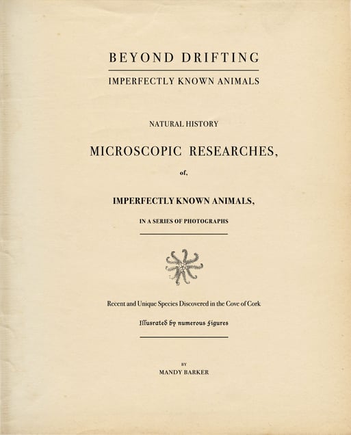 Beyond Drifting: "Imperfectly Known Animals" — title page. Replicated to be worn and battered, the book is intended to take the viewer back to the past, to imagine a natural world before our reliance on plastic. Original writing and descriptions of the pioneering discoveries made by John Vaughan Thompson run throughout every page.