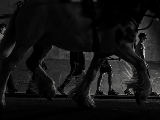 How many legs is one horsepower?