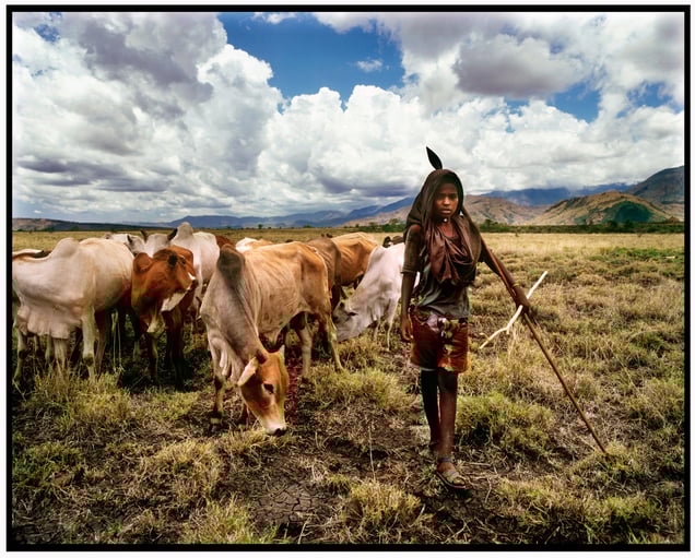 The young herder with a spear in hand protects his flock against preditors in Ethiopia’s Nechisar National Park.