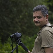 AR Kotwal