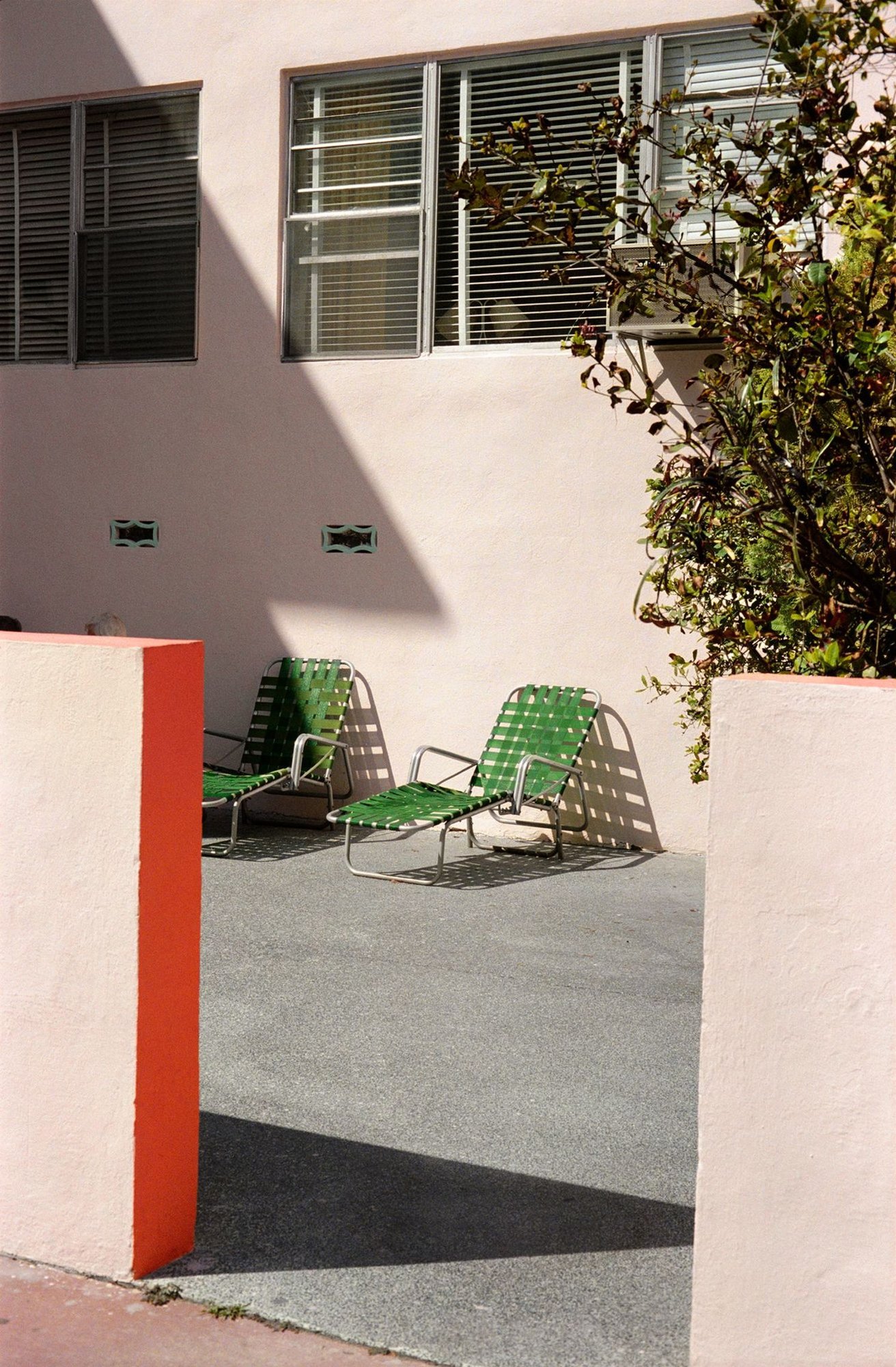 The Democratic Forest.　Selected  Works William Eggleston: The Democratic Forest: Selected Works
