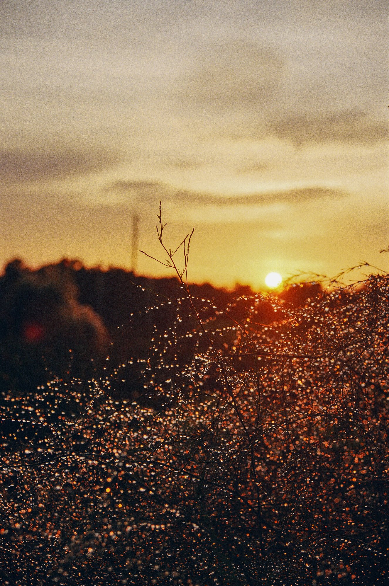 The Slow Alchemy of Everyday Light