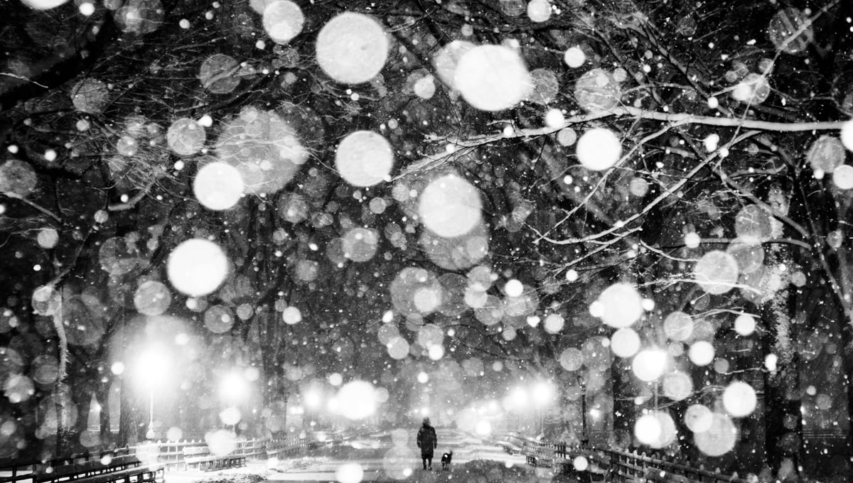 Wonderland #2