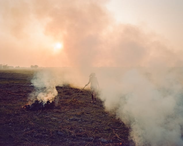 From the series 'Flood Me, I'll be Here'