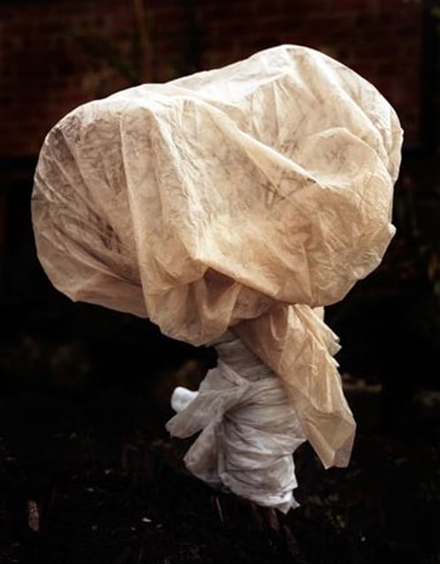 From the series Covered, 2009 © Peter Ainsworth