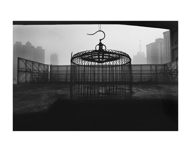 Shanghaï, 2008 © Klavdij Sluban