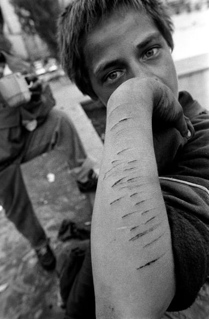 Romania © 2014, Stephen Shames