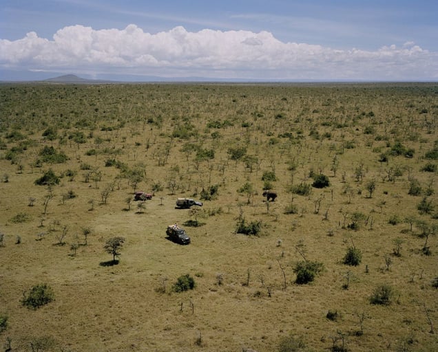 elephant, sera conservancy, northern kenya-from the series 'with butterflies and warriors'-David Chancellor