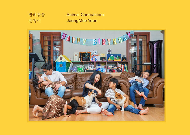 Animal Companions
