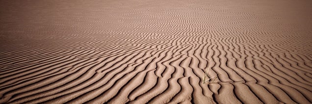 Mongolia Gobi desert
