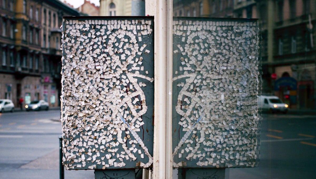 From the series Anima Mundi