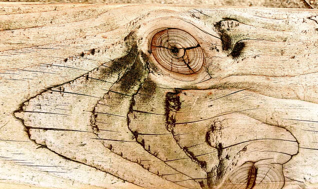 "NATURAL DADA HISTORY" "HISTOIRE DADA NATURELLE" "NATURGESCHICHTSDADA" oder  "ALSO SPRACH DADATHUSTRA“ Thus Spoke Dadathustra”