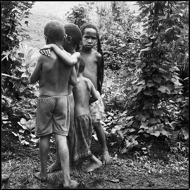 DANI, Papua Provinz, Indonesia