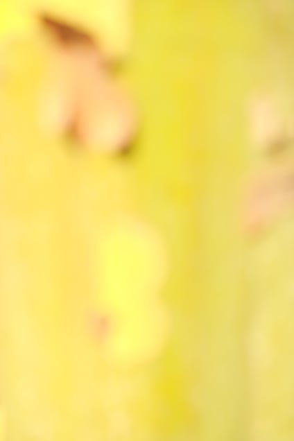 Painterly colors(1)