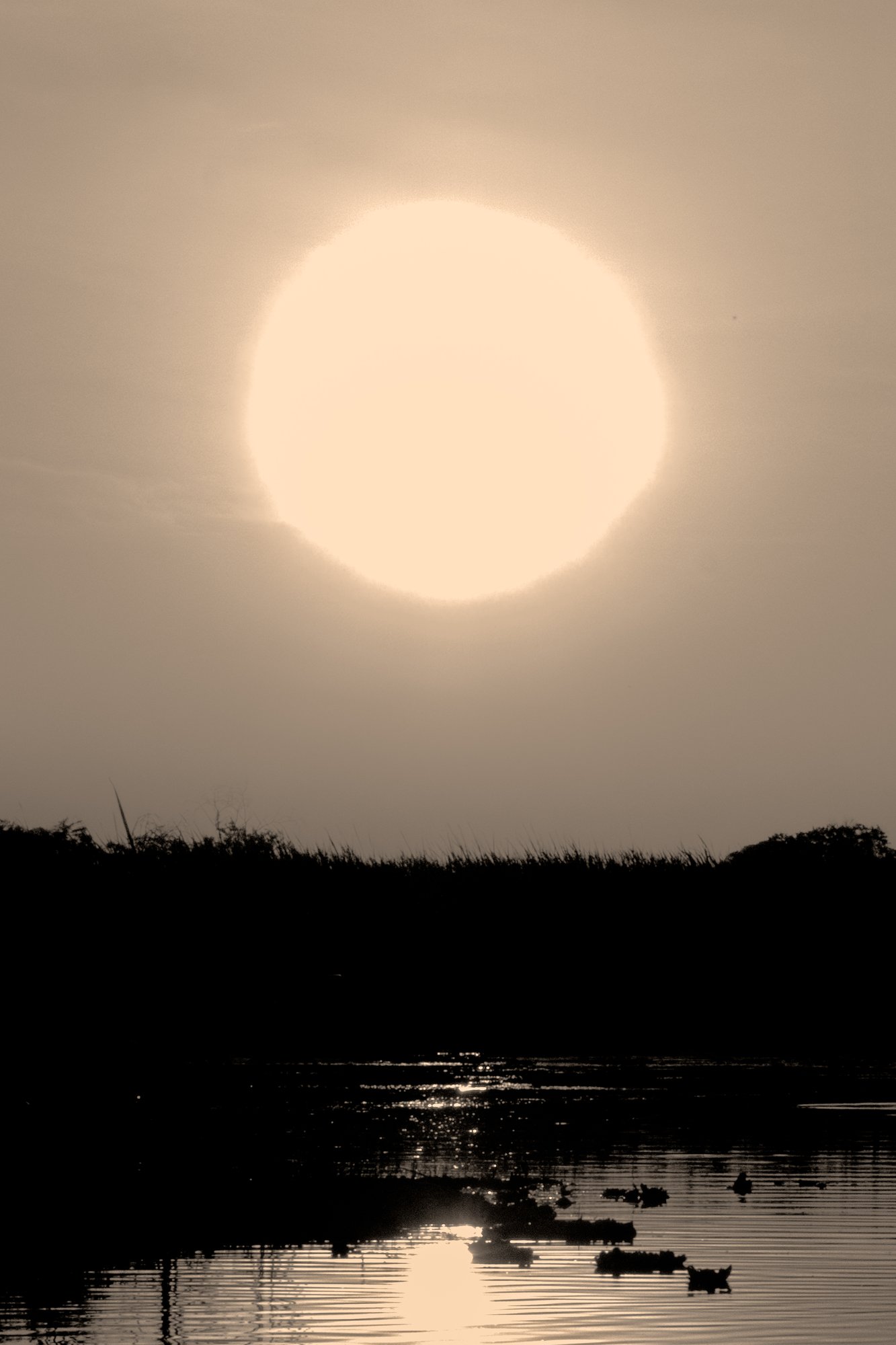 Pantanal