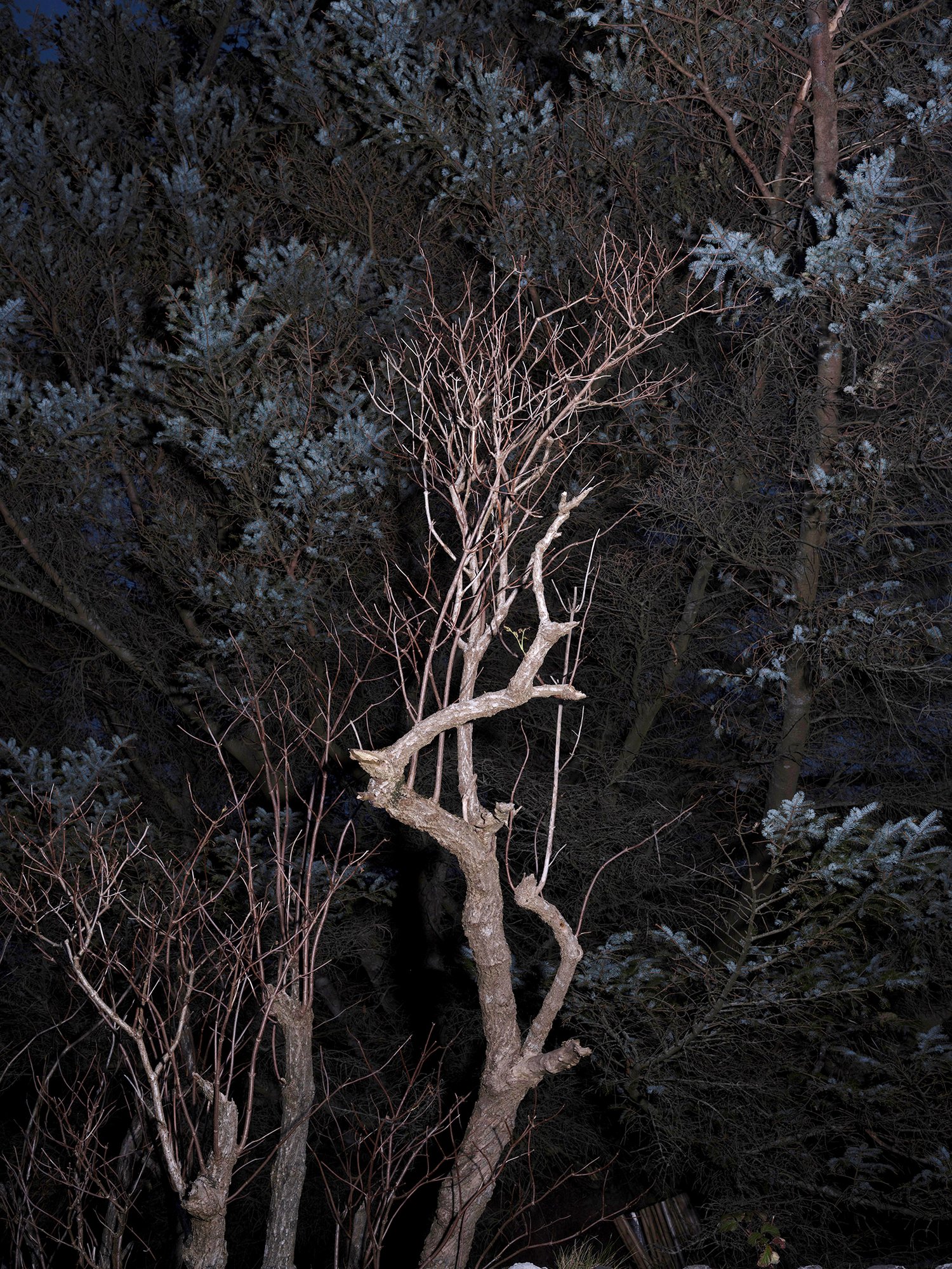 Knoydart
