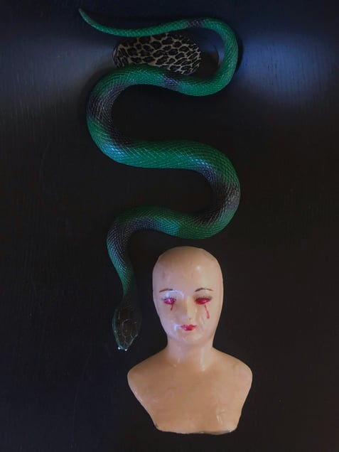 Snake Bite