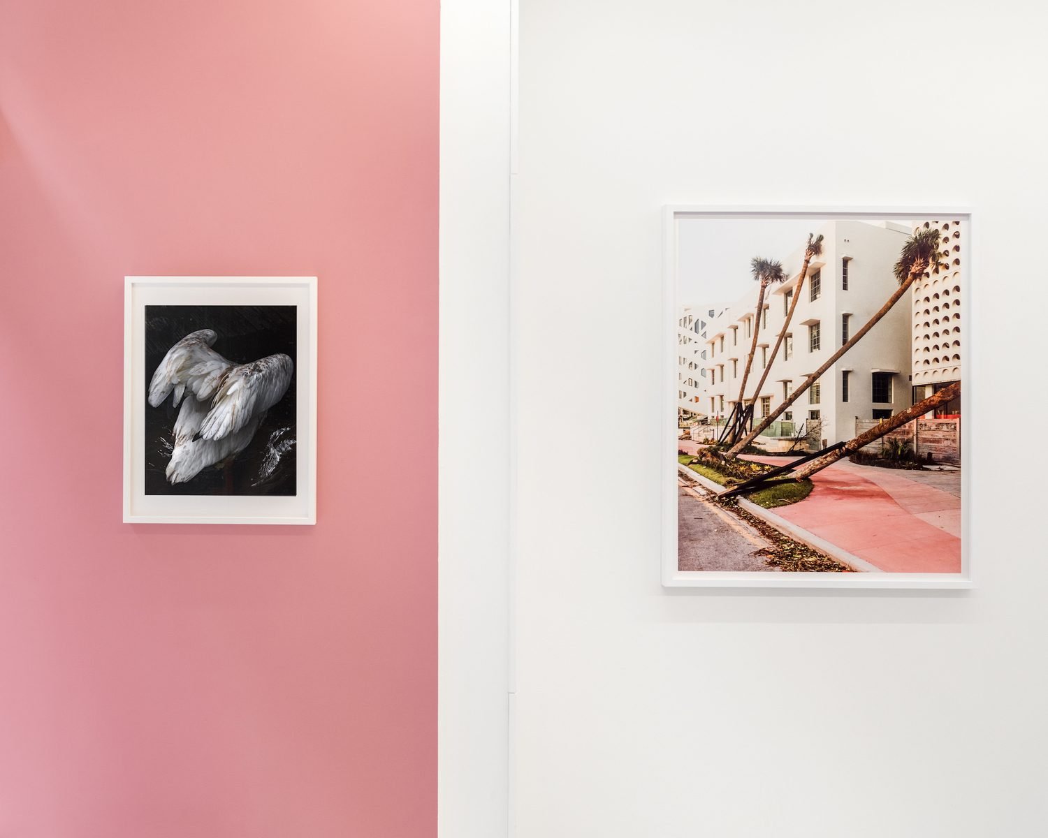 Establishing Gallery Relationships