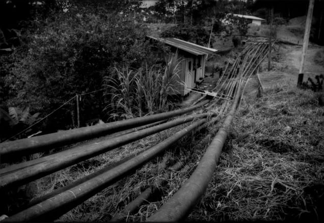 Consommation Eco-Systeme © James Withlow Delano