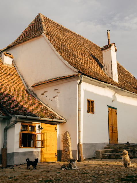 Village house in Criț, Transylvania
