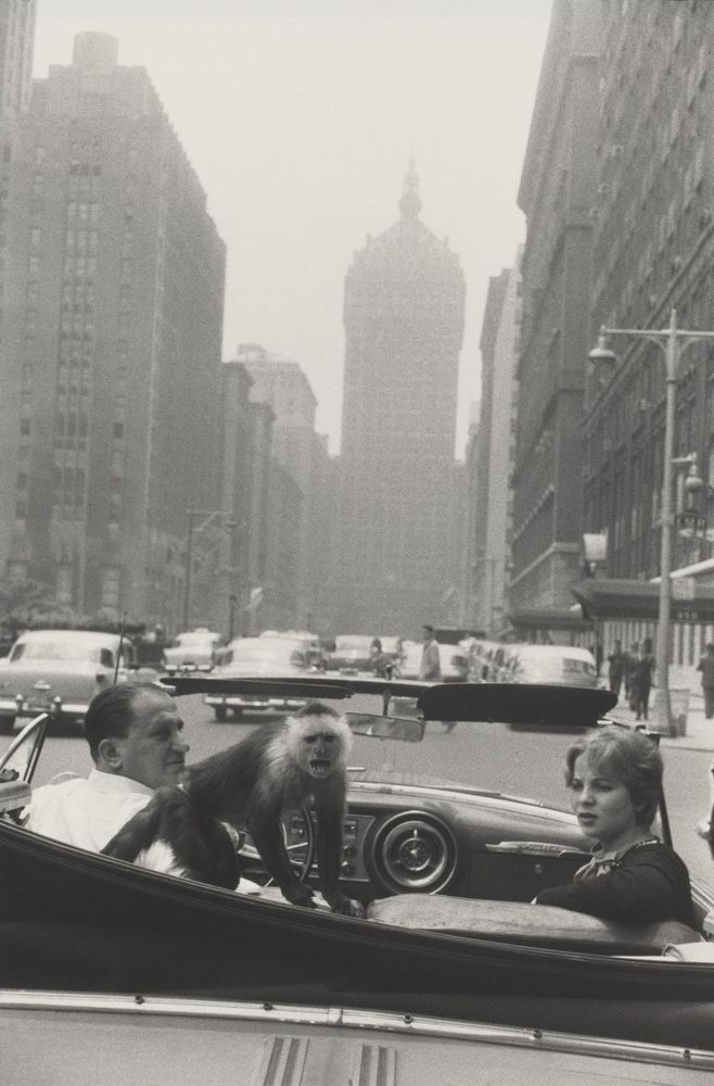 Garry Winogrand: Visions from the Street, Portraits of