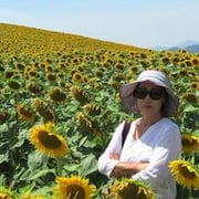 Susan Hwang