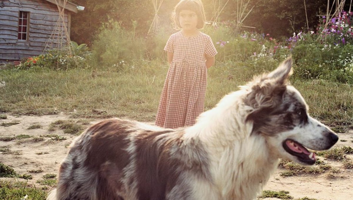 From Somerset Stories - Fivepenny Dreams © Venetia Dearden