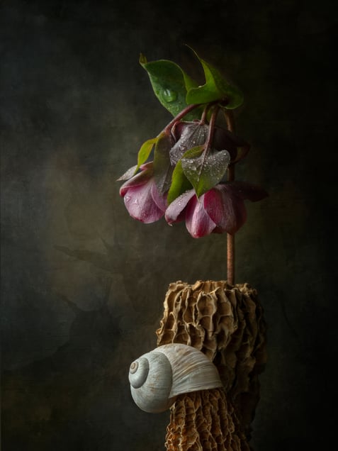 Floral Monument