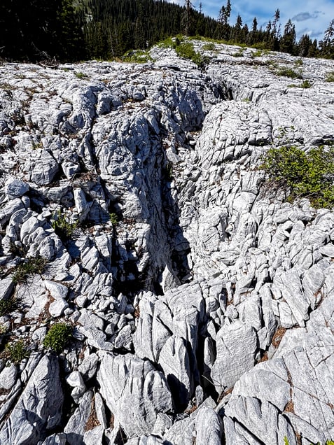 An apron of light-colored limestone; part of the lower reaches of Marble Mountain. This rock is highly weathered and extremely rough to the touch.! IMG_0752