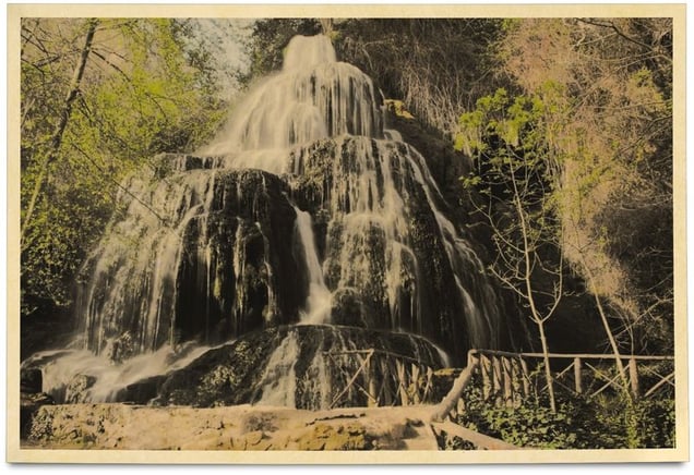 "This is you". Untitled postcard.