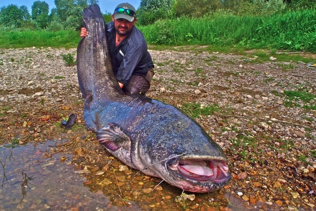 From the series "The Invaders of the Loire" (France) © Claude Rives
