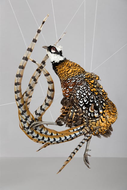 When you are dead, the pose you take doesn’t matter anymore.