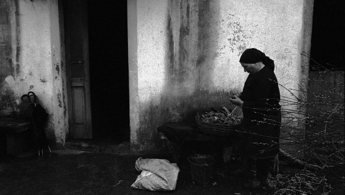 Campesina preparando las patatas para sembrar, Santiago de Compostela, 1977-78 © Anna Turbau, VEGAP