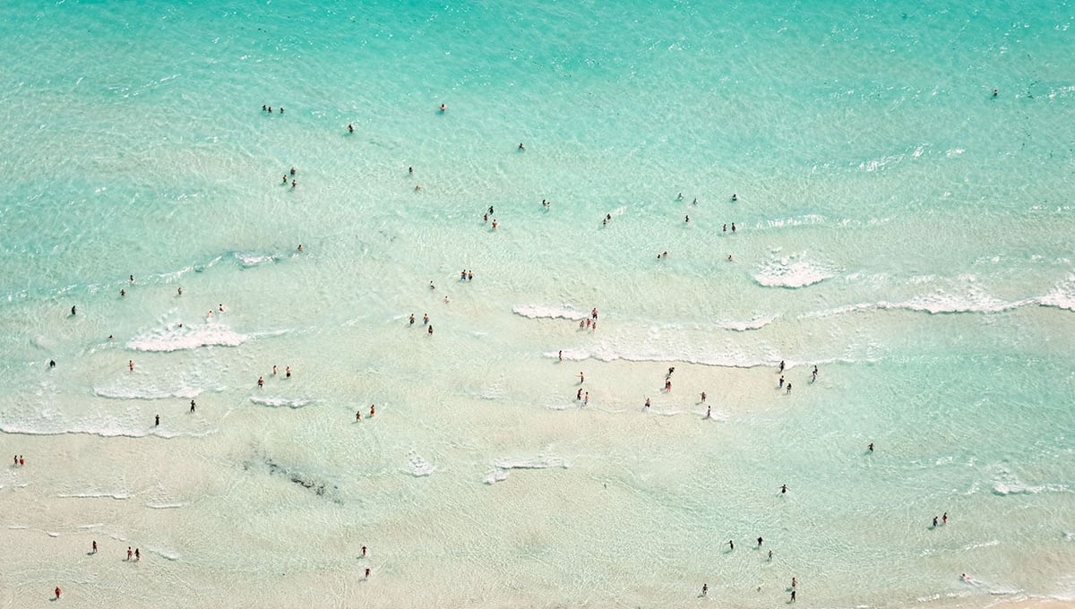 The Big Swim © Jorge De La Torriente