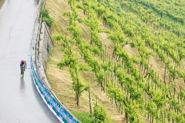 Stage: Veneto. Valdobbiadene. This long and challenging time trial stage is raced against the background of a Prosecco vineyard.