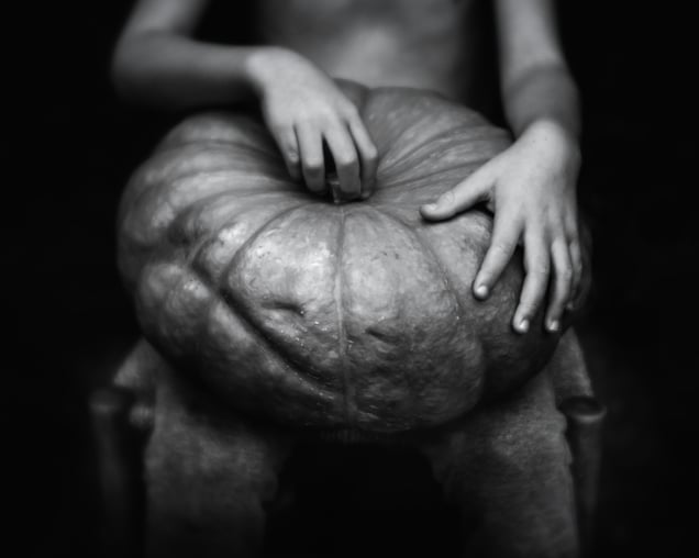 The Gourd
