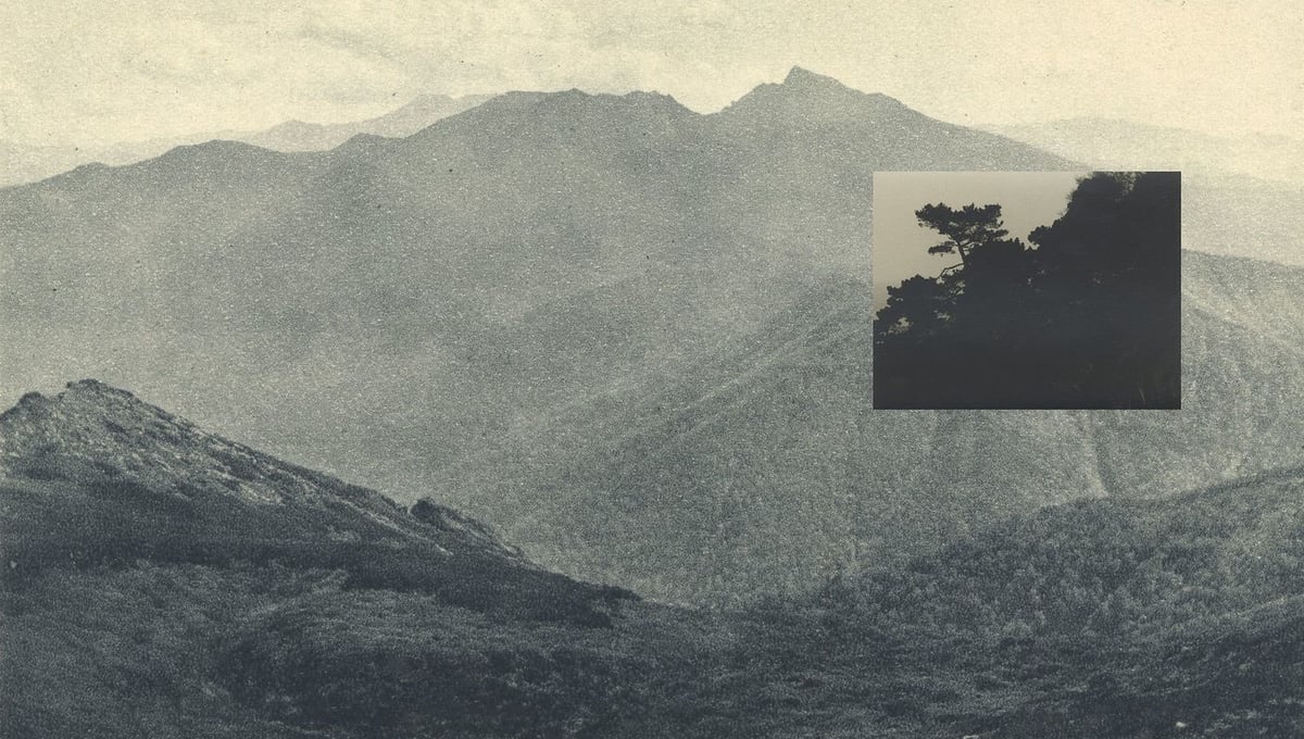 The Untitled, from the series ‘Under the Yuzu Tree’