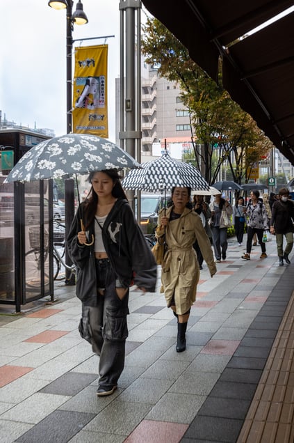 A City of Umbrellas