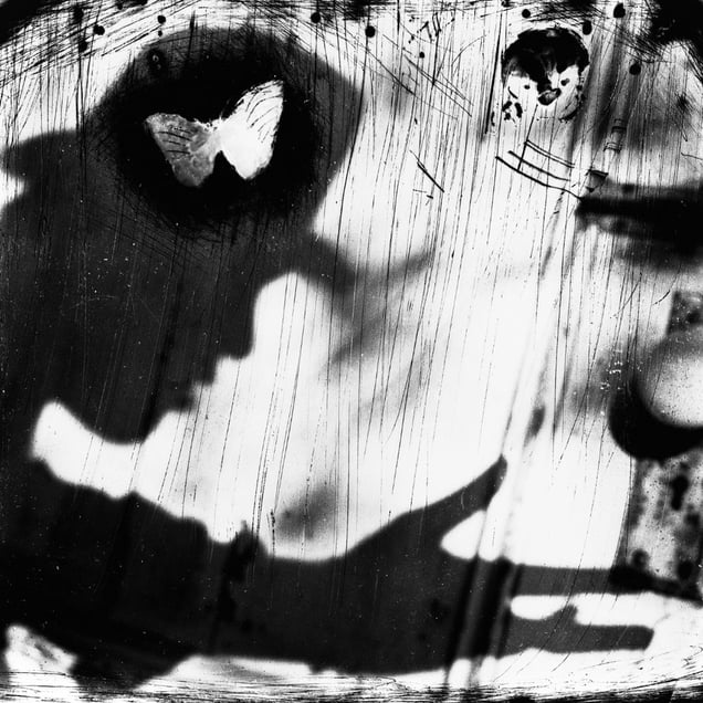 © Michael Donnor